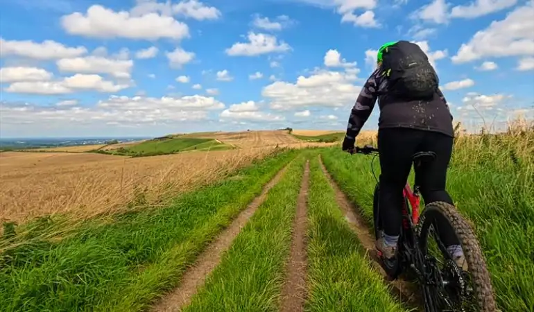 New Forest Cycling Tours