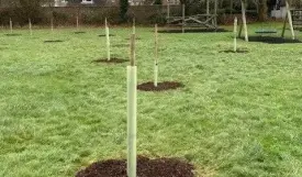 Work under way to plant 20 community orchards