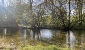 The Mystery of Wiltshire’s Nine Mile River
