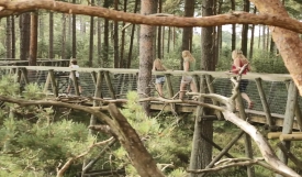 Moors Valley Tree Top Trail Closing After 35 Years as Structure Reaches End of Lifespan