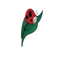 Ladybirds Pre-School