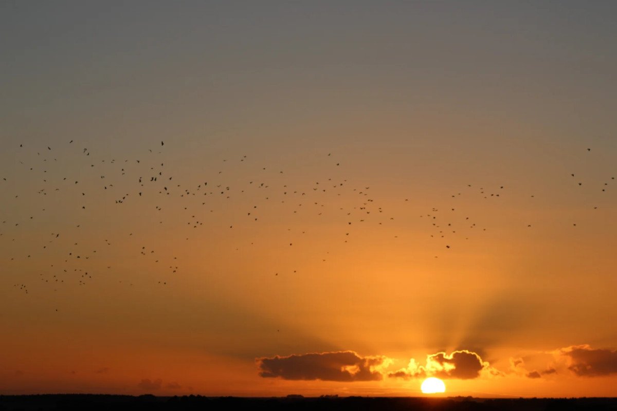 UK heatwave set to return as forecasters warn temperatures could hit 35C again