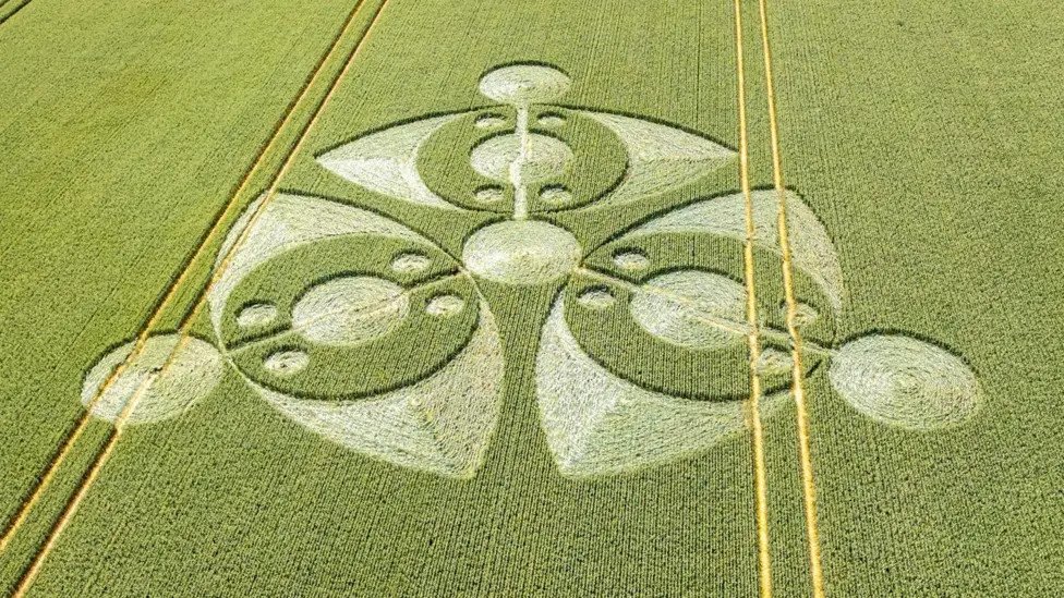 'Eye-shaped' crop circle found in farmer's field