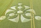'Eye-shaped' crop circle found in farmer's field