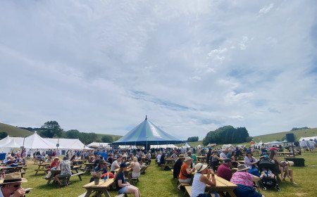Thousands gather as history comes alive at Chalke History Festival