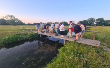 Wildlife Project Receives Funding to Help Salisbury Residents Connect With Nature