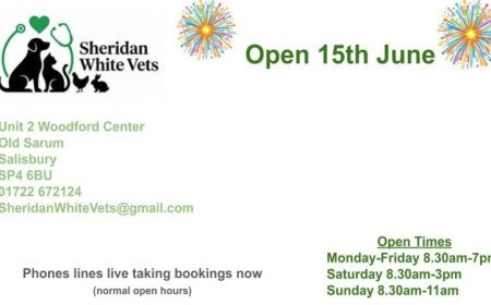 Opening date confirmed for adam sheridan's new salisbury veterinary centre
