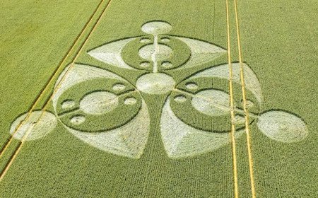 'Eye-shaped' crop circle found in farmer's field