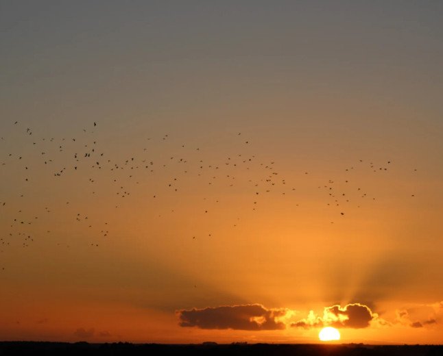 UK heatwave set to return as forecasters warn temperatures could hit 35C again