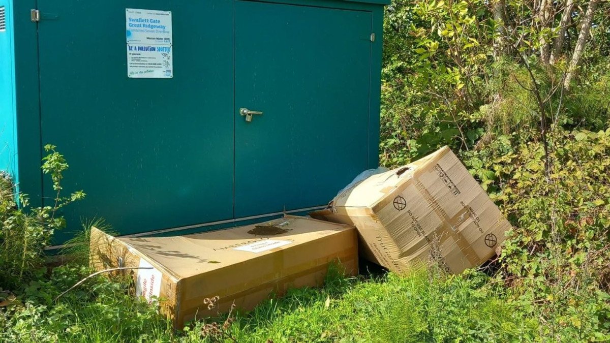 Two delivery drivers fined £1,000 each for fly-tipping in Wiltshire