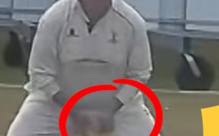 Cricket cheating