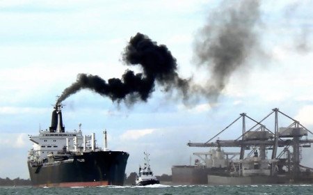 Cruise ship pollution may help viruses spread, Southampton study suggests