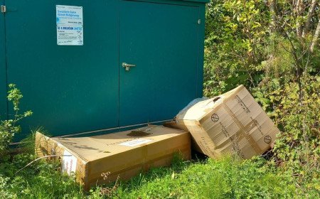 Two delivery drivers fined £1,000 each for fly-tipping in Wiltshire