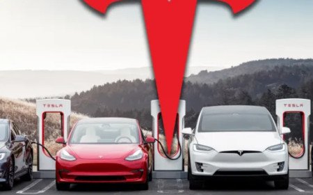 Tesla shares fall as short sellers make billions betting against Elon Musk’s company