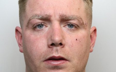 Domestic abuser who assaulted partner jailed