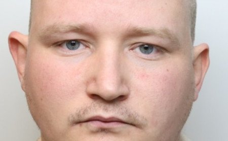 Paul Webb: Swindon sex offender jailed for numerous offences