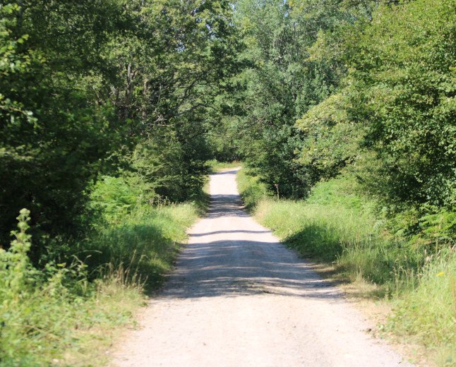 A Perfect Family Day Out at Bentley Wood