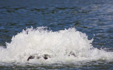 Hosepipe ban comes into force for Wessex Water customers in Salisbury