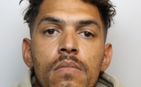 DA survivor's "immense strength" praised after perpetrator jailed