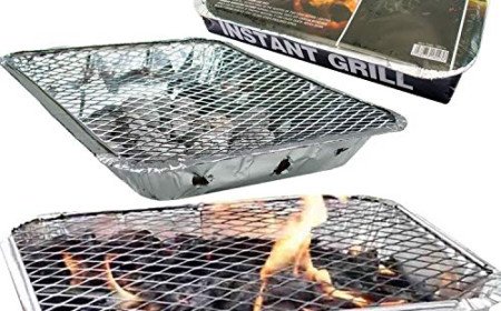 disposable BBQ