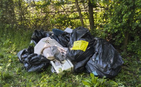 Swindon Resident Fined £600